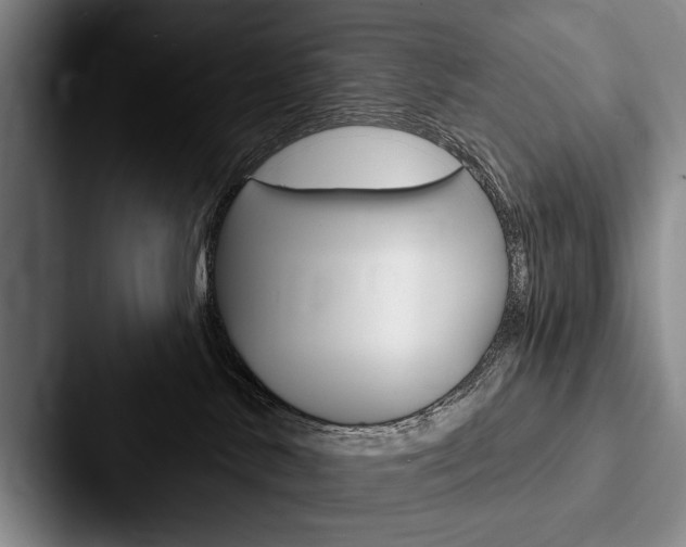 X0000088060042200705110922