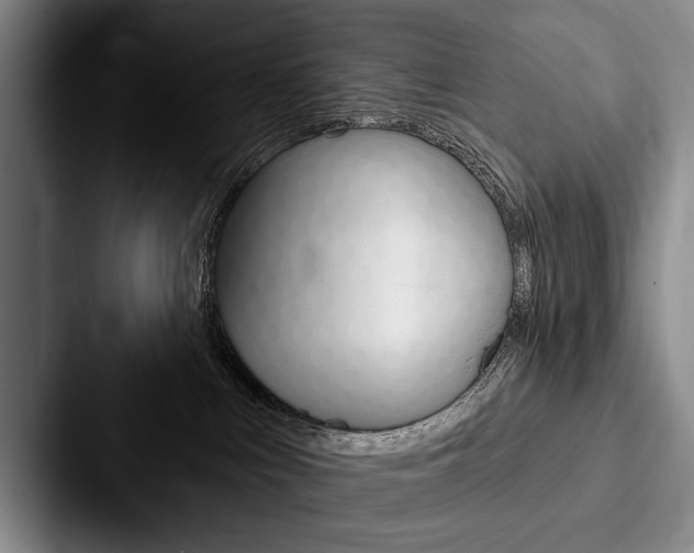 X0000088060043200705110922