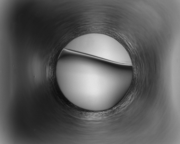 X0000088060044200705110922