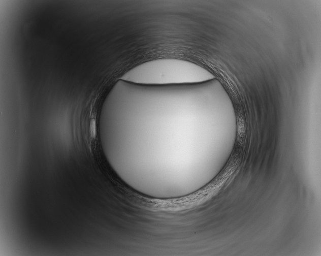 X0000088060046200705110922