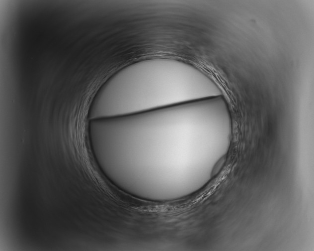 X0000088060049200705110922