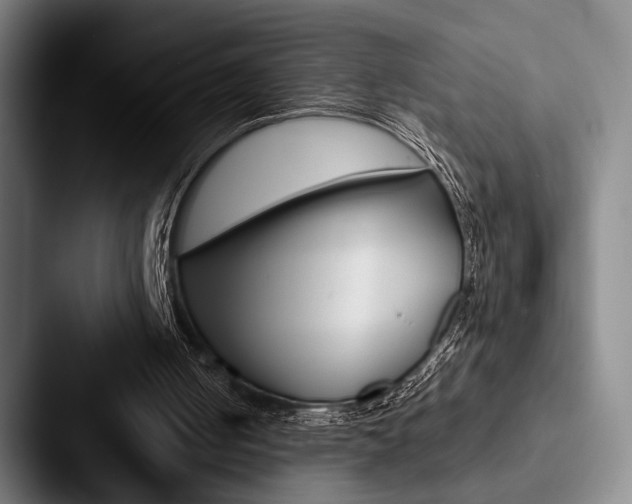 X0000088060050200705110922