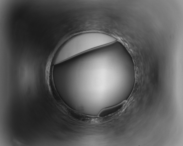 X0000088060056200705110922