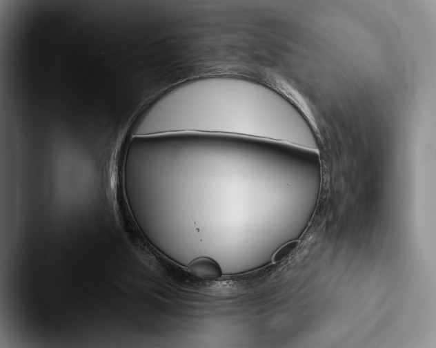 X0000088060059200705110922