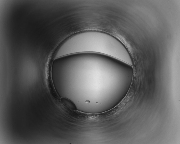 X0000088060060200705110922