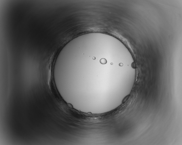 X0000088060061200705110922
