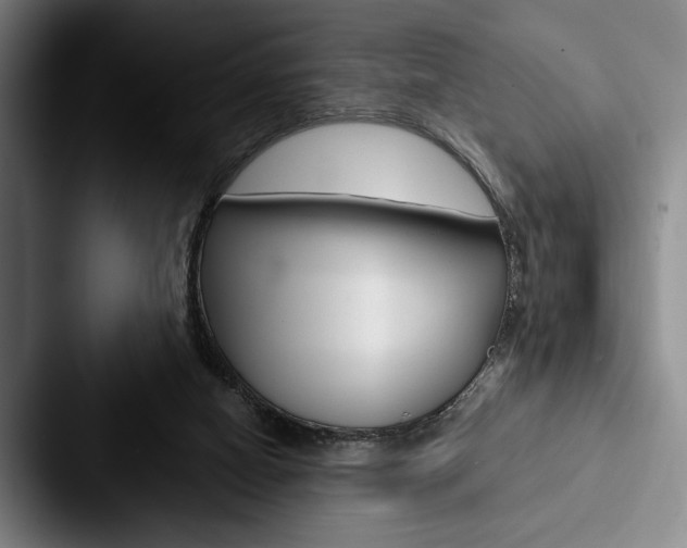 X0000088060066200705110922