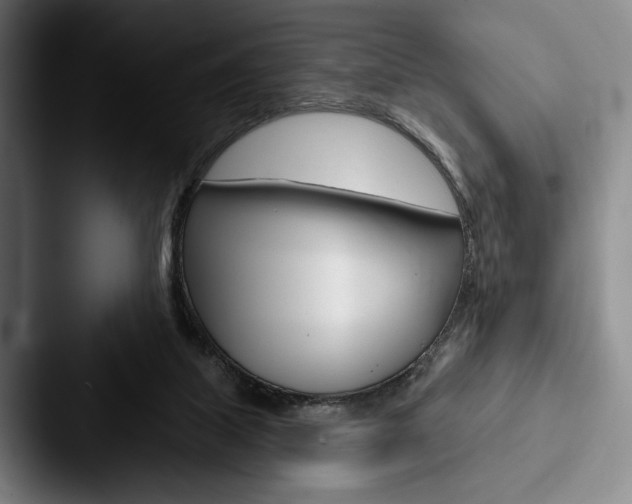 X0000088060067200705110922