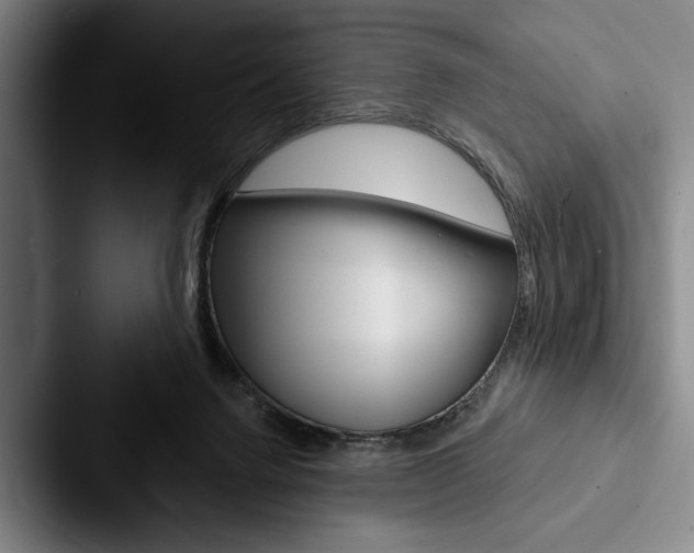 X0000088060072200705110922