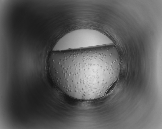 X0000088060078200705110922