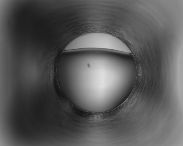 X0000088060080200705110922