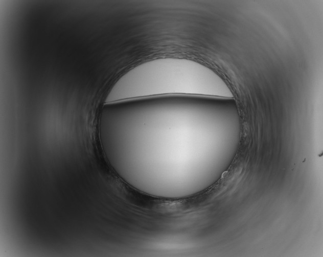 X0000088060081200705110922