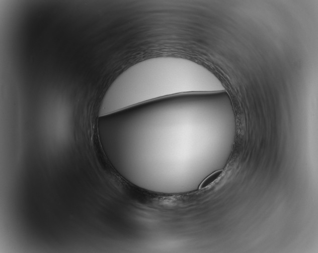 X0000088060086200705110922