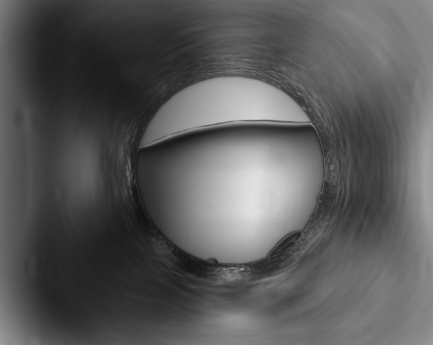 X0000088060089200705110922