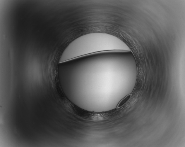 X0000088060091200705110922