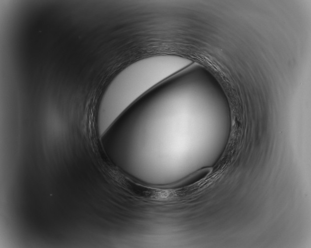 X0000088060096200705110922