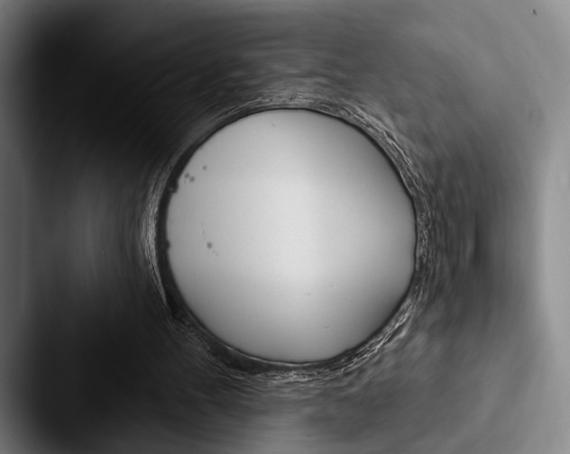 X0000088060100200705110921