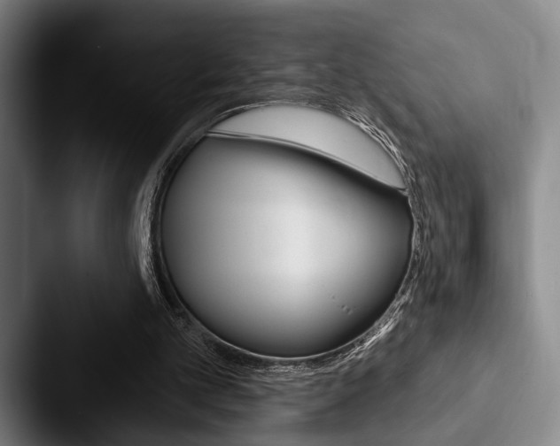 X0000088060101200705110921