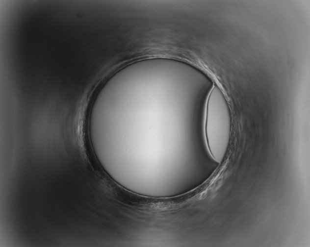 X0000088060103200705110921