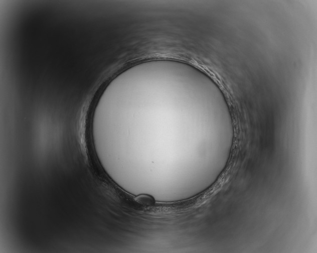 X0000088060104200705110921