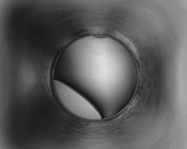 X0000088060105200705110921