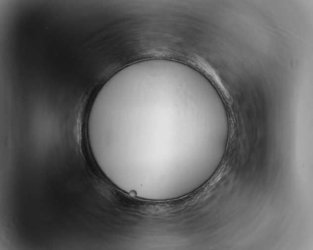 X0000088060106200705110921
