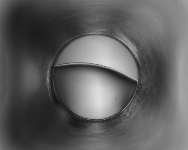 X0000088060107200705110921