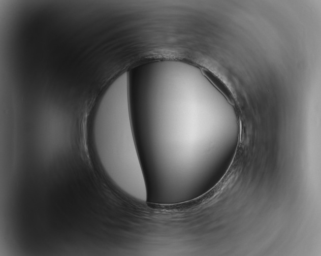 X0000088060109200705110921