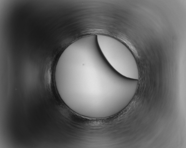 X0000088060110200705110921