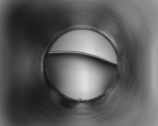 X0000088060111200705110921
