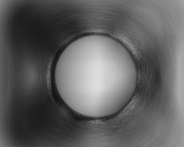 X0000088060112200705110921
