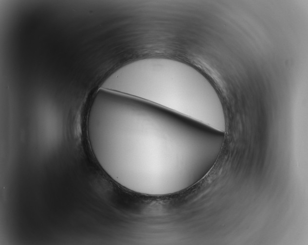 X0000088060115200705110921