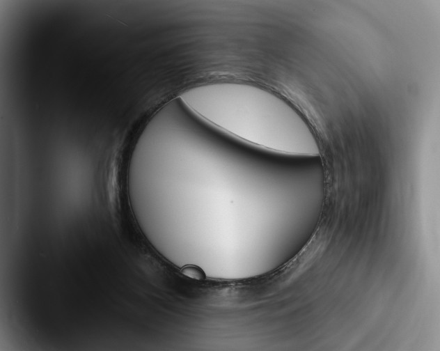 X0000088060116200705110921