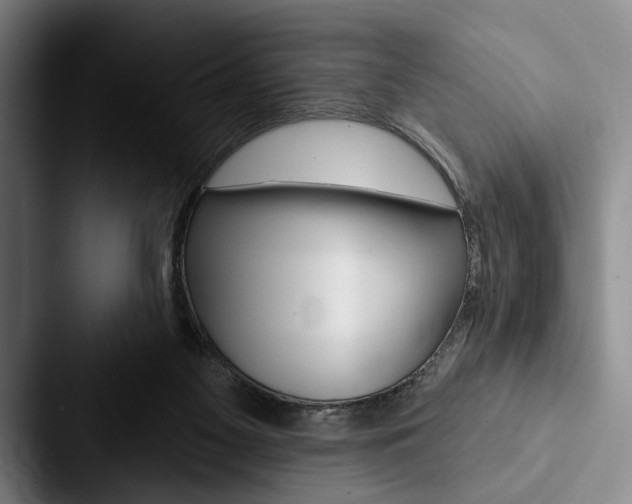 X0000088060117200705110921