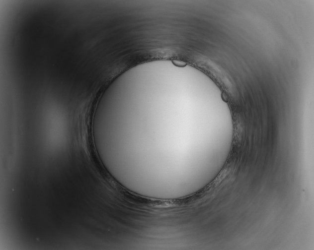X0000088060118200705110921