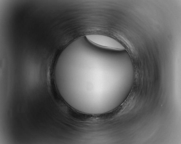 X0000088060119200705110921