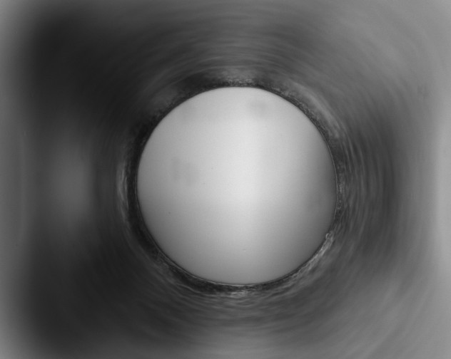 X0000088060120200705110921