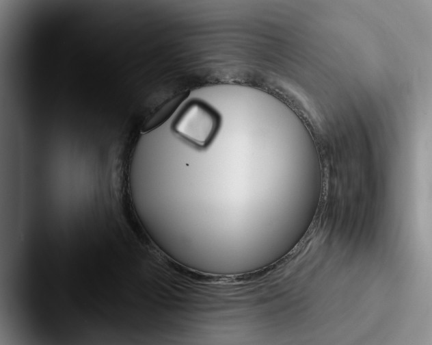 X0000088060121200705110921