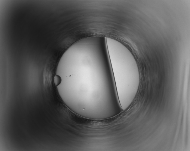 X0000088060123200705110921