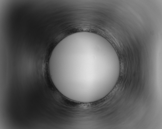 X0000088060126200705110921