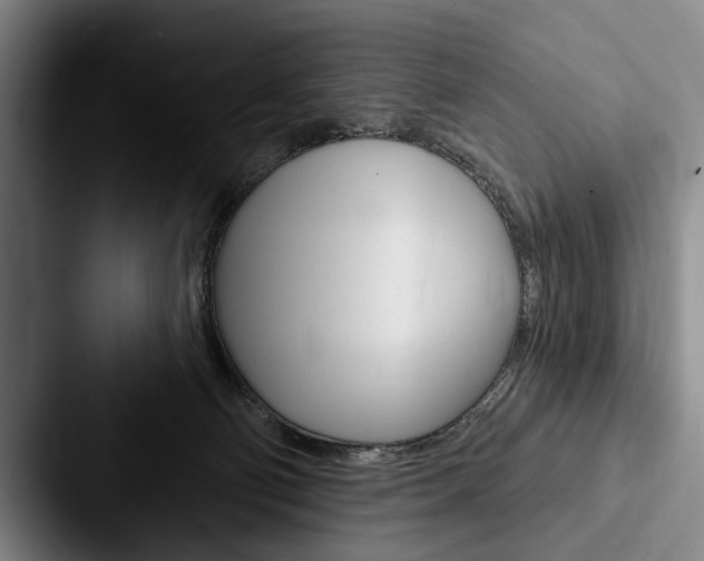 X0000088060130200705110921