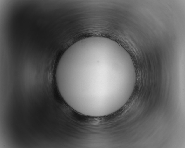 X0000088060131200705110921