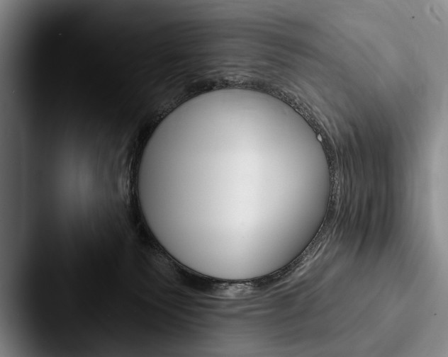 X0000088060135200705110921