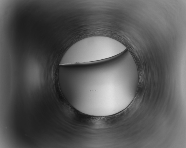 X0000088060136200705110921