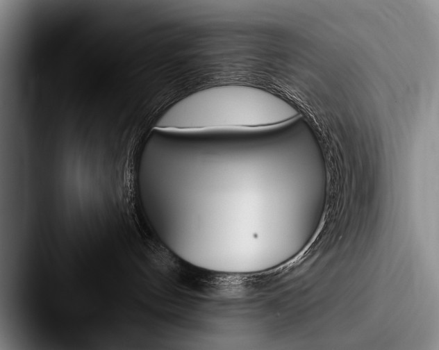X0000088060144200705110921