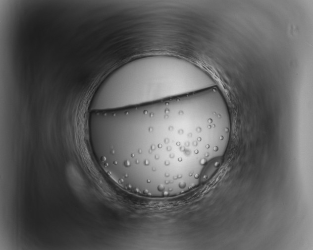 X0000088060145200705110920