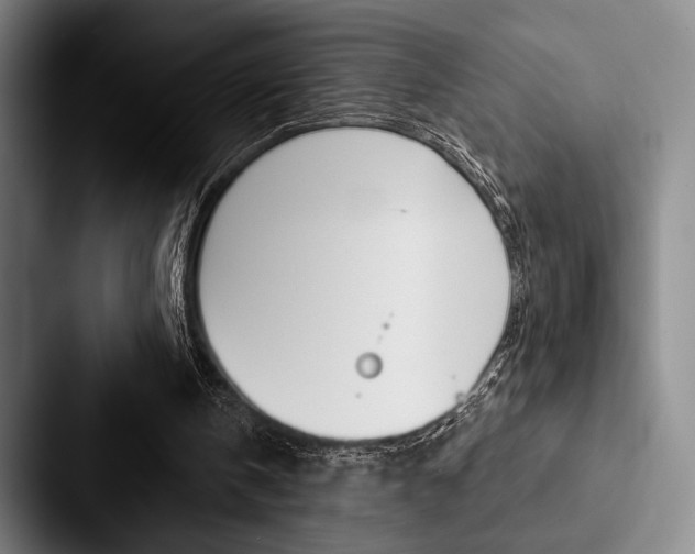 X0000088060146200705110920