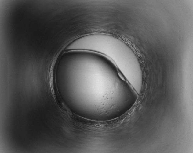 X0000088060148200705110920