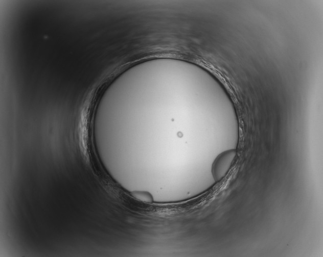 X0000088060149200705110920