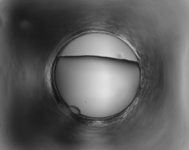 X0000088060151200705110920